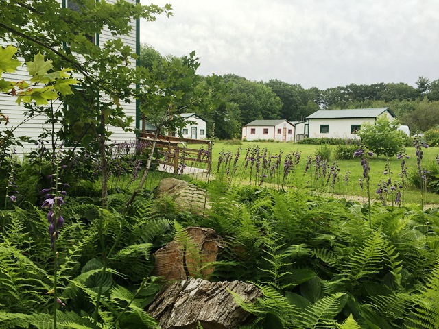 Camp Caravan